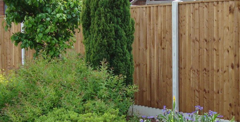 Timber fencing